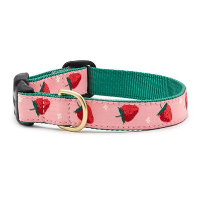 Up Country Strawberry Fields Dog Collar