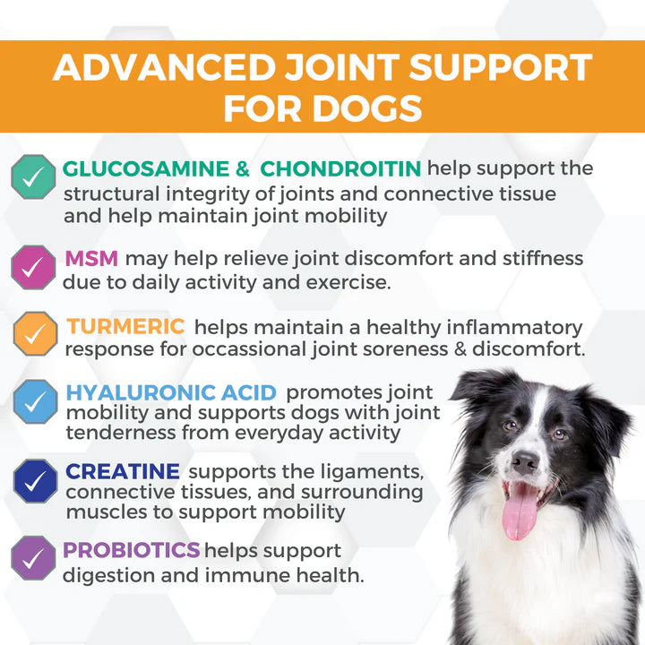 Progility Max Hip & Joint Chews | Advanced Support for Healthy Joints & Mobility