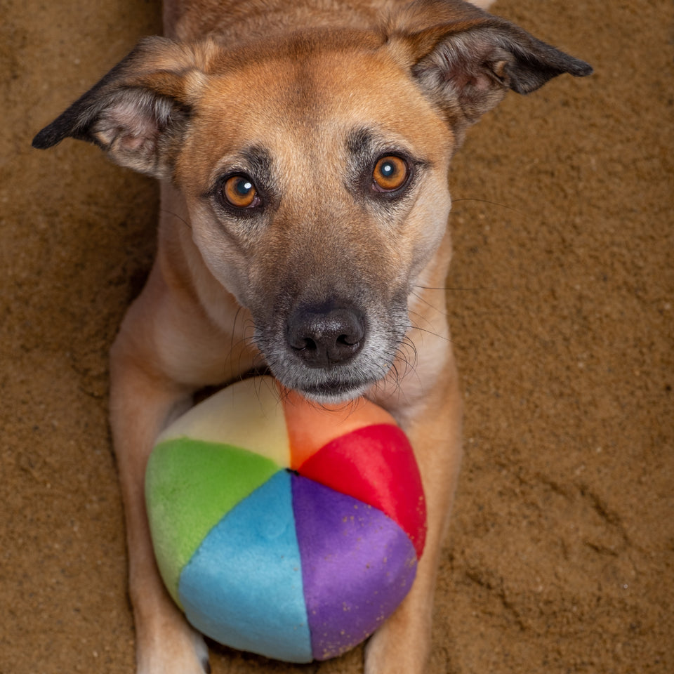 Mini Beach Ball Plush Toy