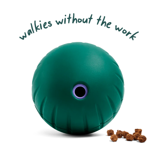 Woof Walkabout Enrichment Toy