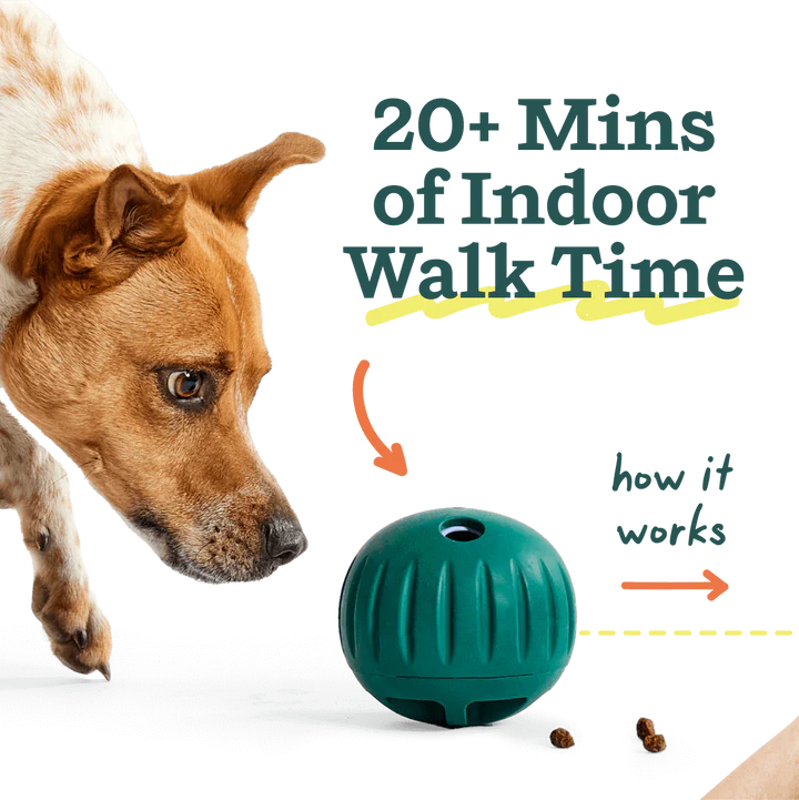 Woof Walkabout Enrichment Toy