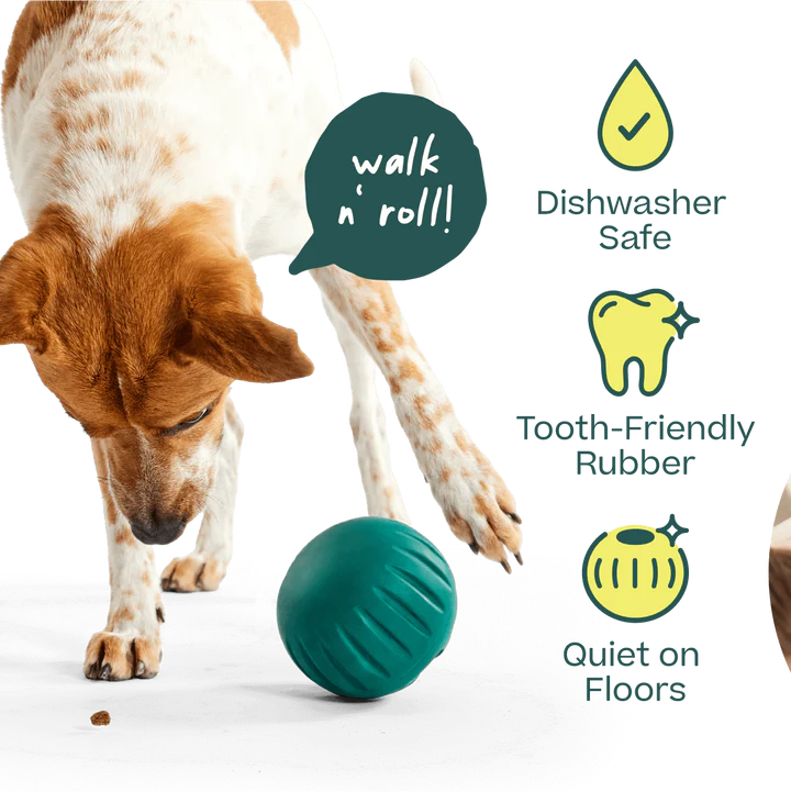 Woof Walkabout Enrichment Toy