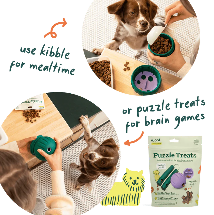 Woof Walkabout Enrichment Toy