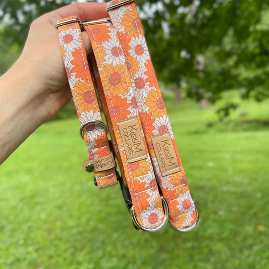 Fall Flowers Dog Collar