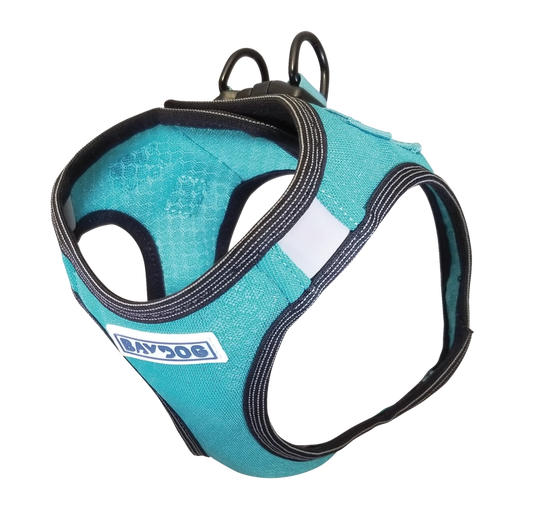 Sea Foam Liberty Bay Dog Harness