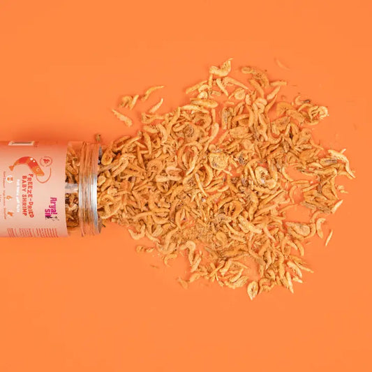 Freeze Dried Baby Shrimp | Arya Sit