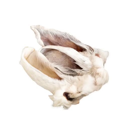 Rabbit Ear