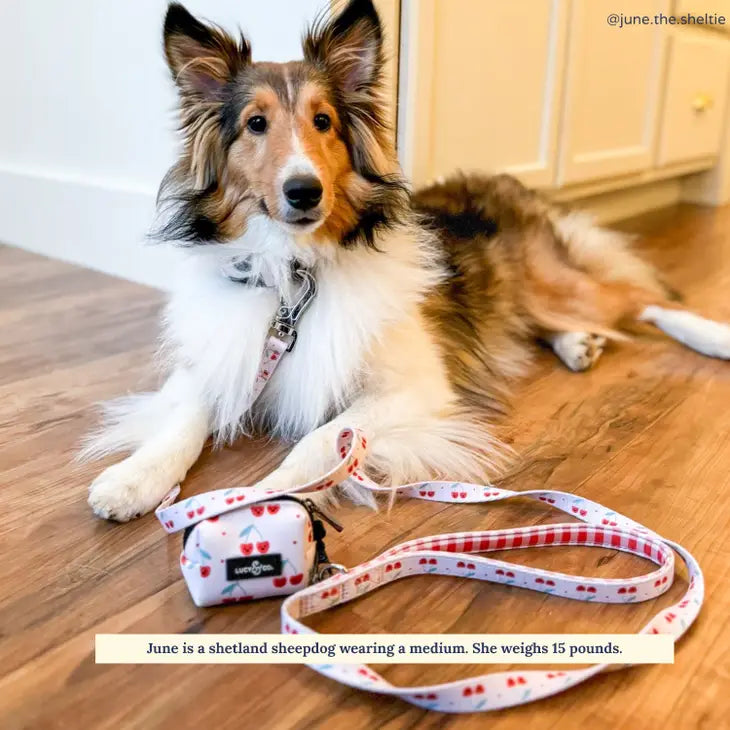 Cheery Cherries Leash | Lucy & Co.