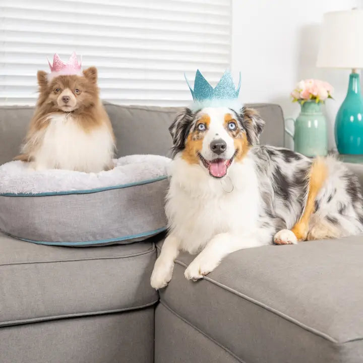 Blue Party Crown