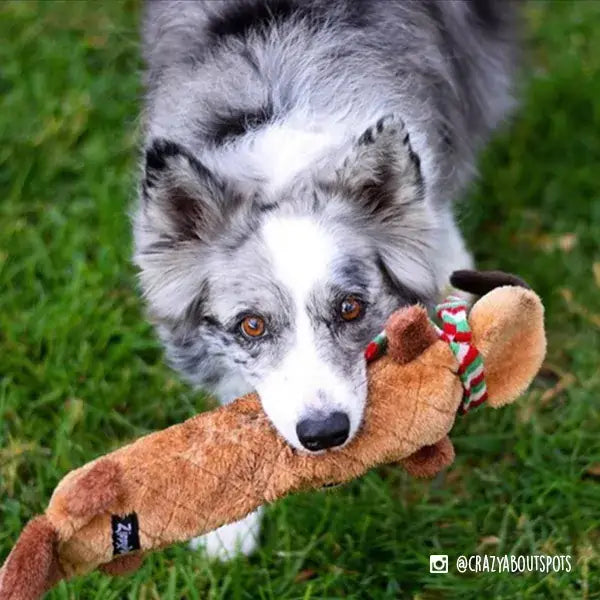 Holiday Jigglerz Reindeer Toy