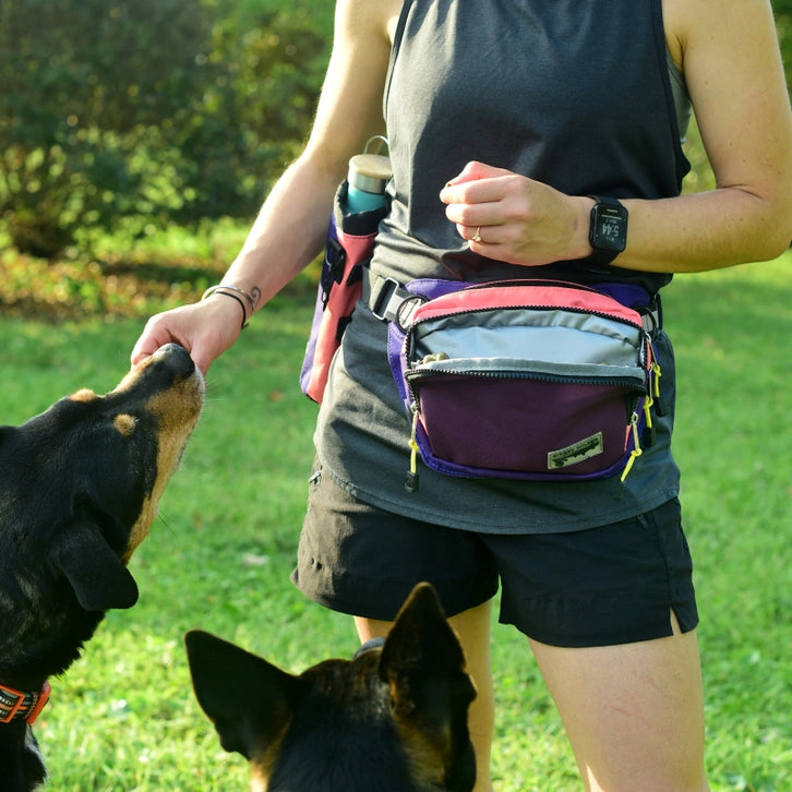 Sipsey Wilder Cosmic Blue Rover Hip Pack