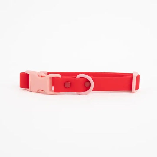 The Fritz Collar Durable, Waterproof & Two-Tone | Cherry