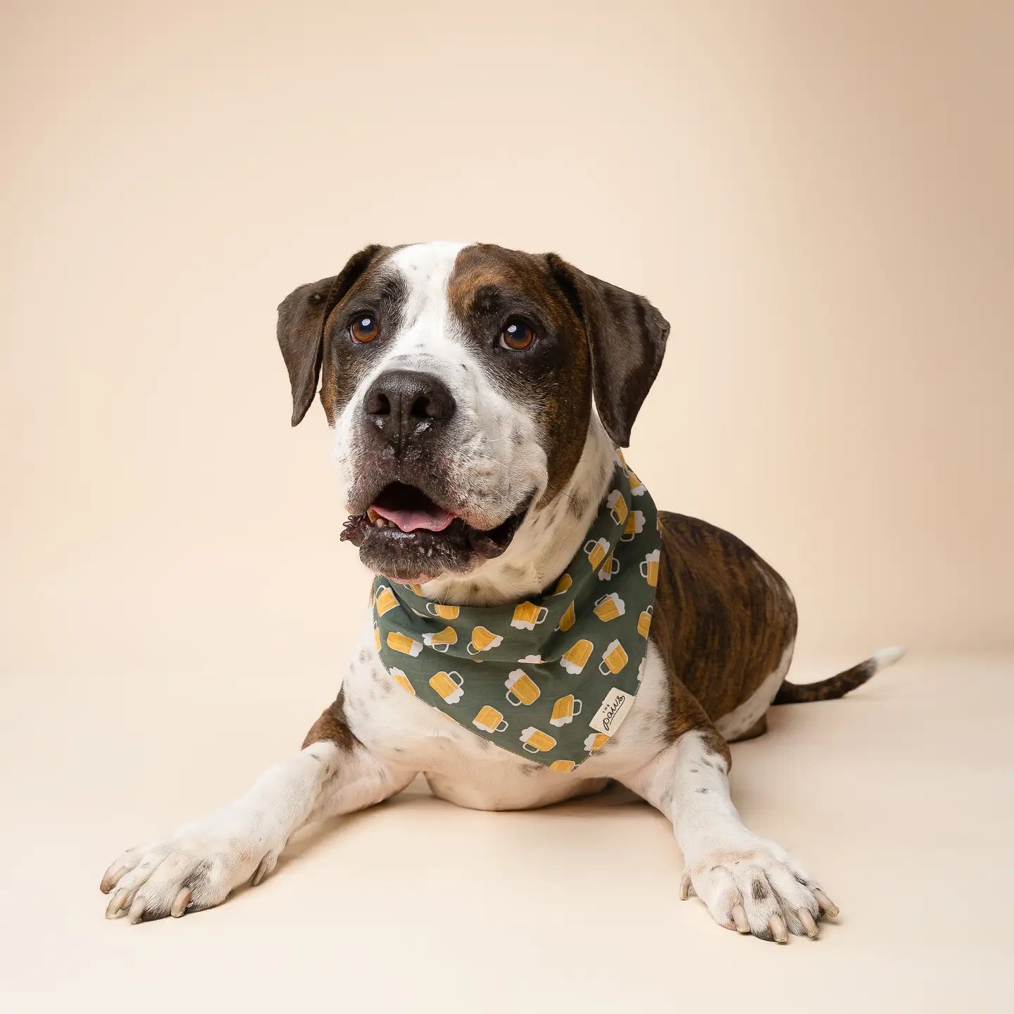 Brew Dog Bandana