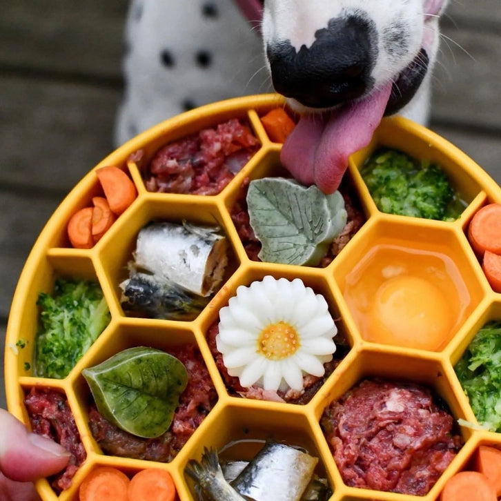 Soda Pup Blue Honeycomb Slow Feeder