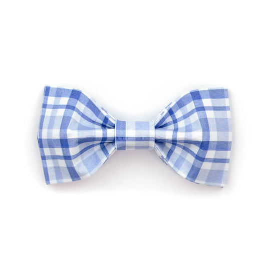The Easton Bowtie | Puddle Jumper Pups