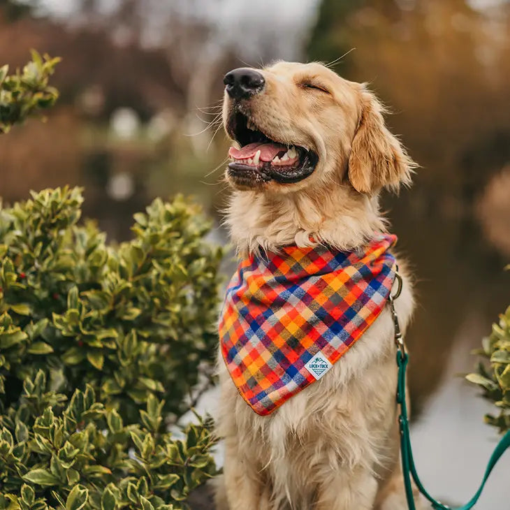Clyde Dog Bandana