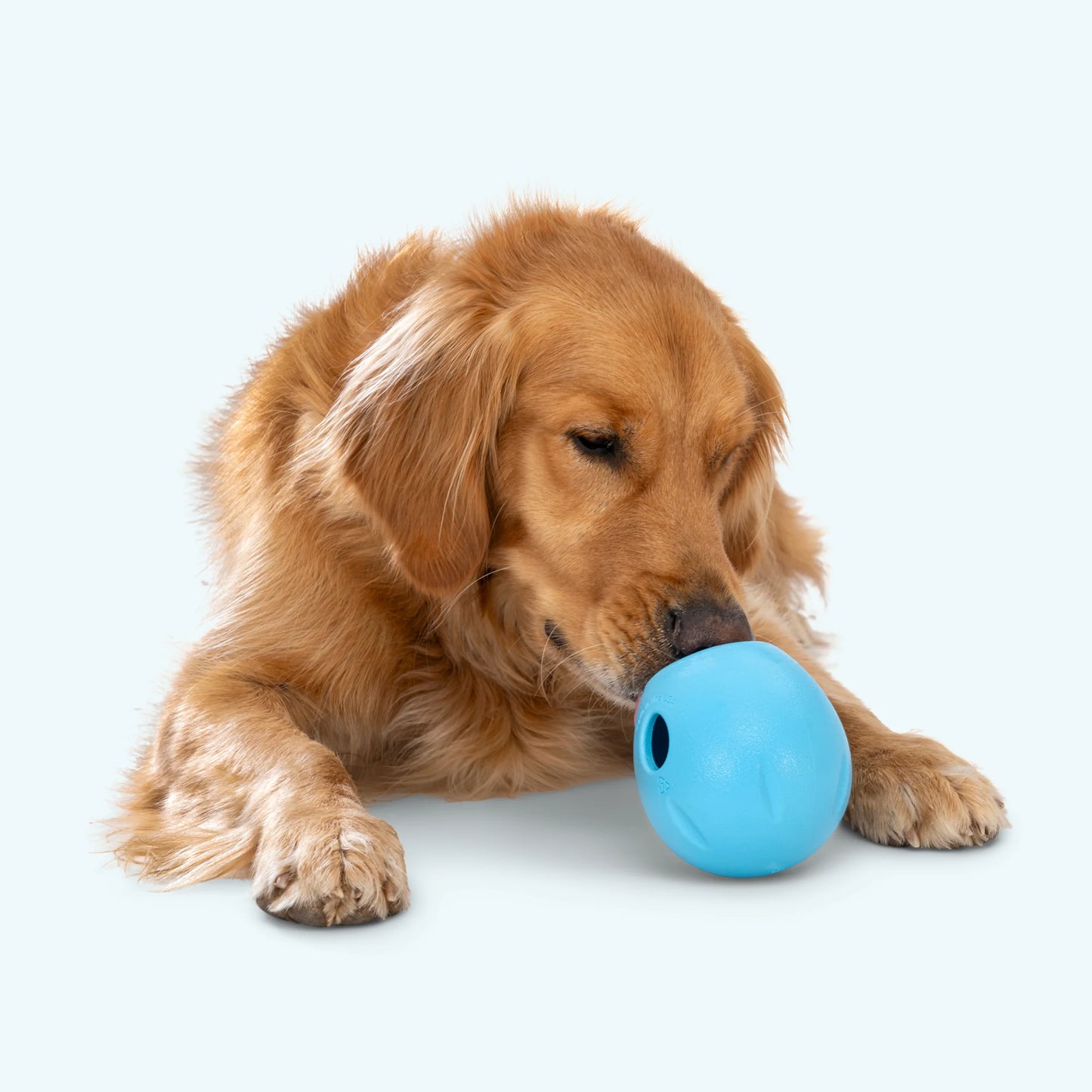 Aqua Rumbl Treat Toy by West Paw