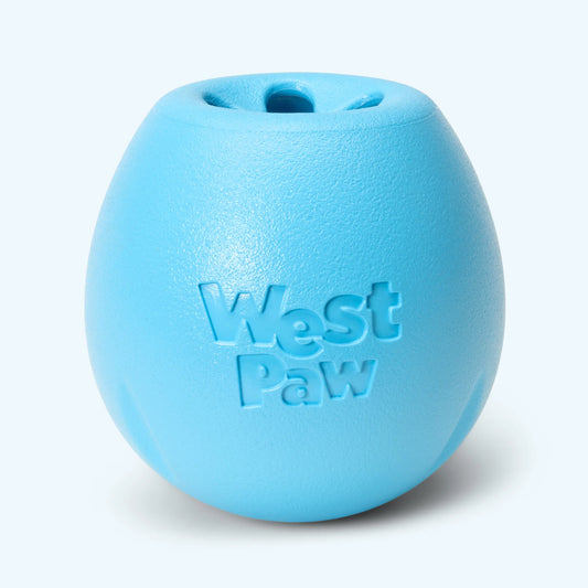 Aqua Rumbl Treat Toy by West Paw