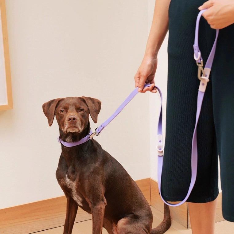 The Fritz Leash | Lilac