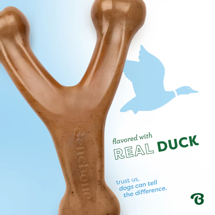 Benebone Duck Wishbone