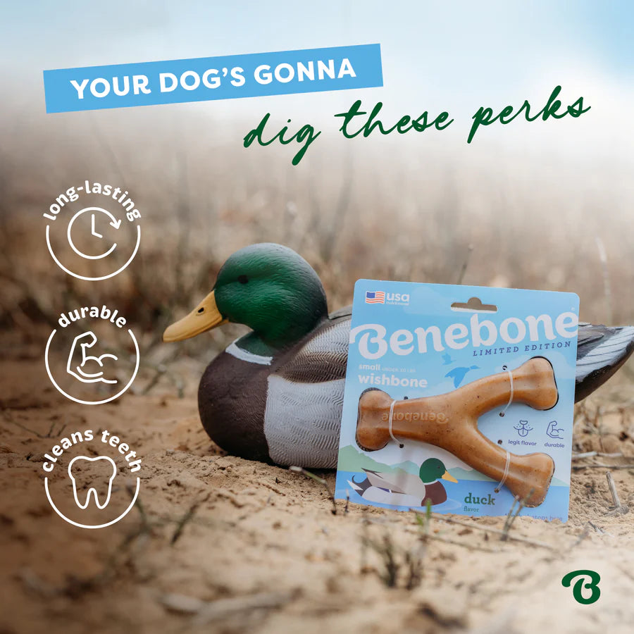 Benebone Duck Wishbone