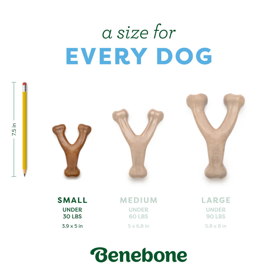 Benebone Duck Wishbone