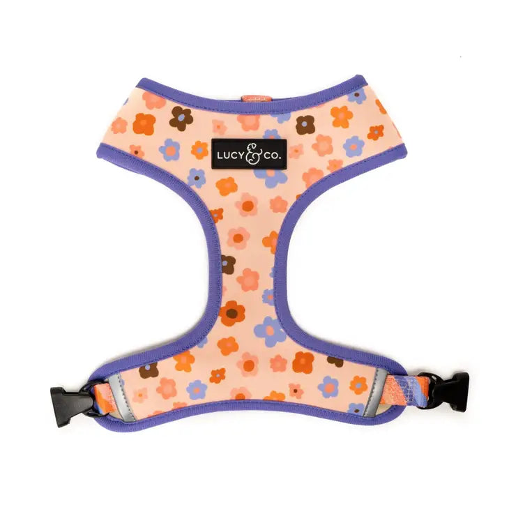 Let's Groove Reversible Harness | Lucy & Co