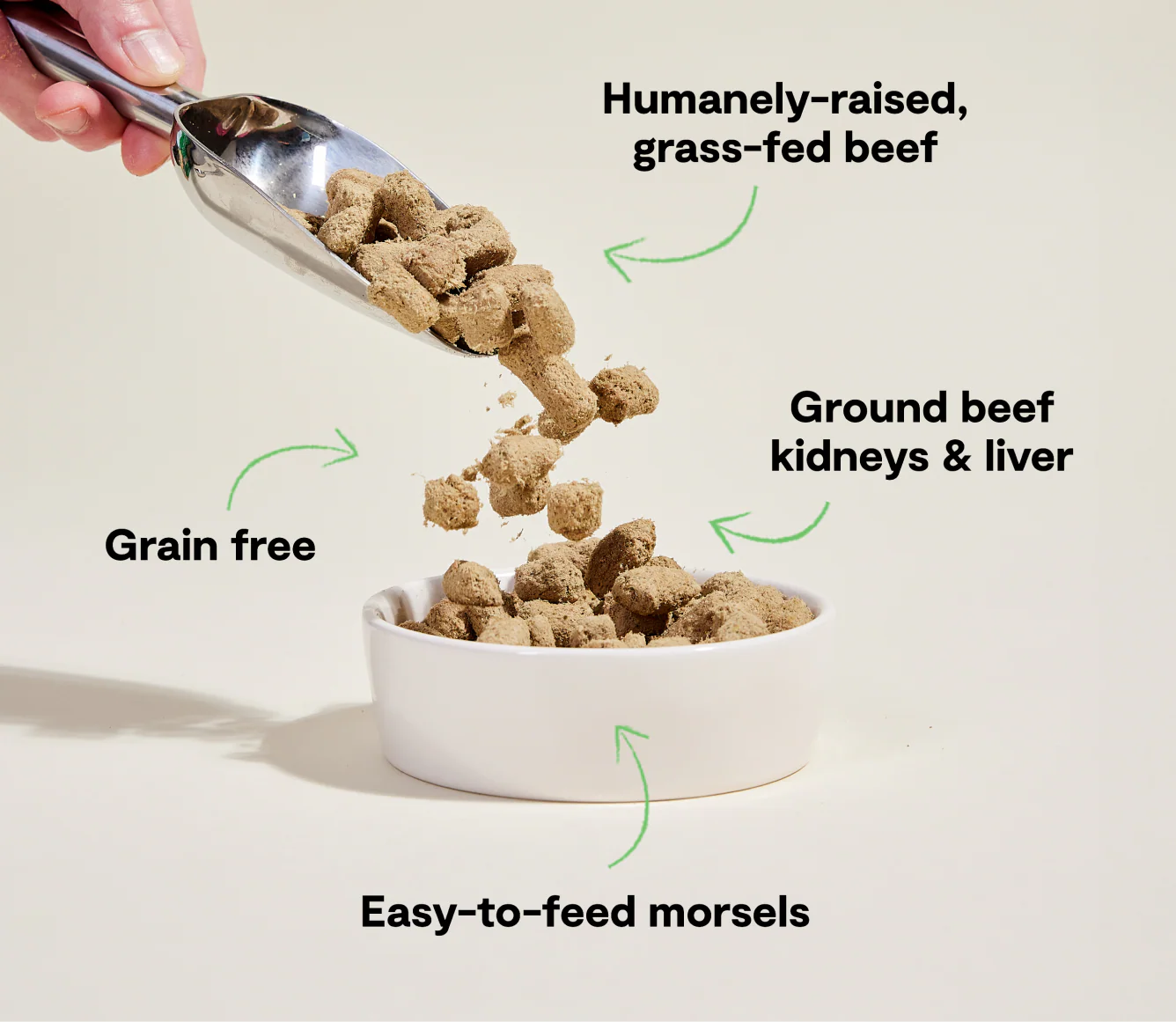 Open Farm Freeze Dried Raw Morsels, Grass-Fed Beef