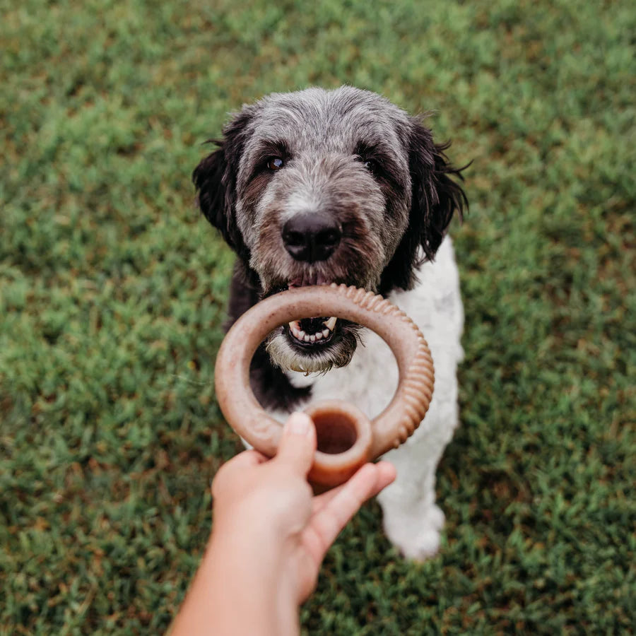 Benebone Bacon Ring