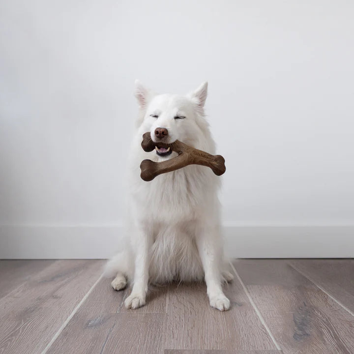 Benebone Peanut Butter Wishbone