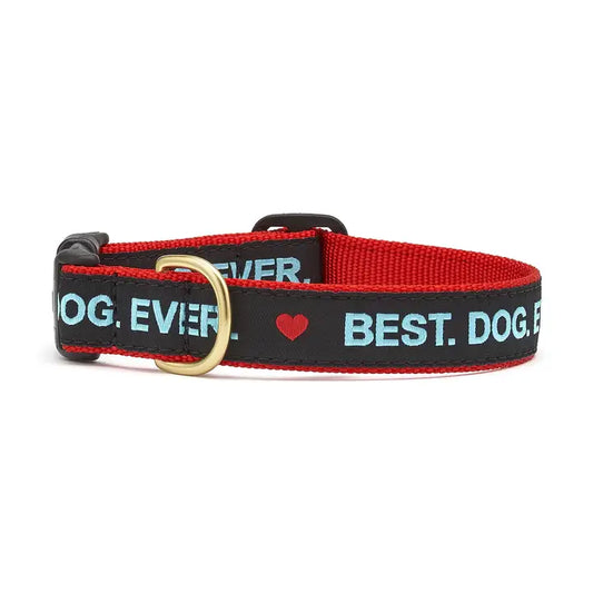 Best Dog Ever Collar