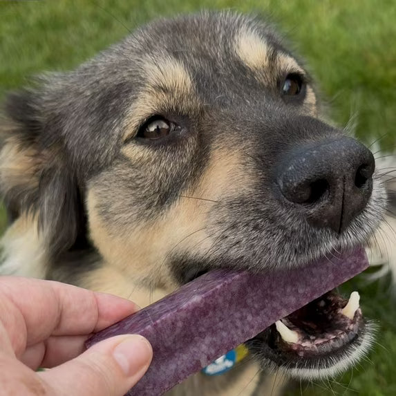 Blueberry Yak Cheese Chew