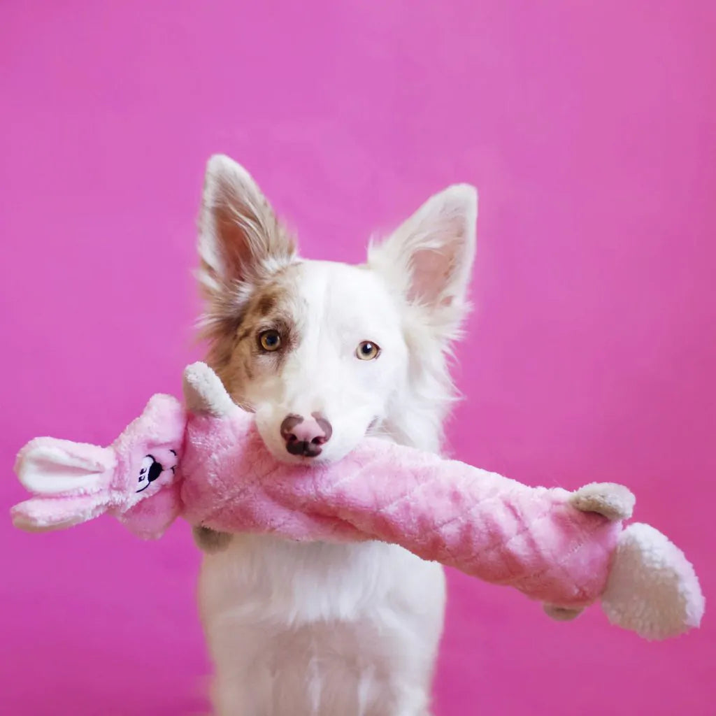 Jigglerz® Bunny Dog Toy