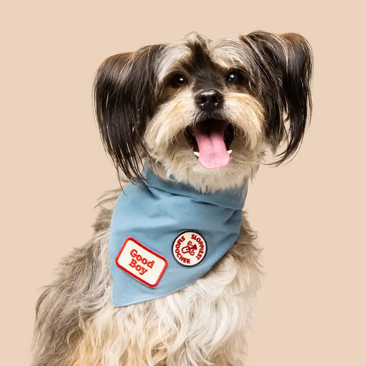 Good Boy Bandana Patch | Scout's Honour