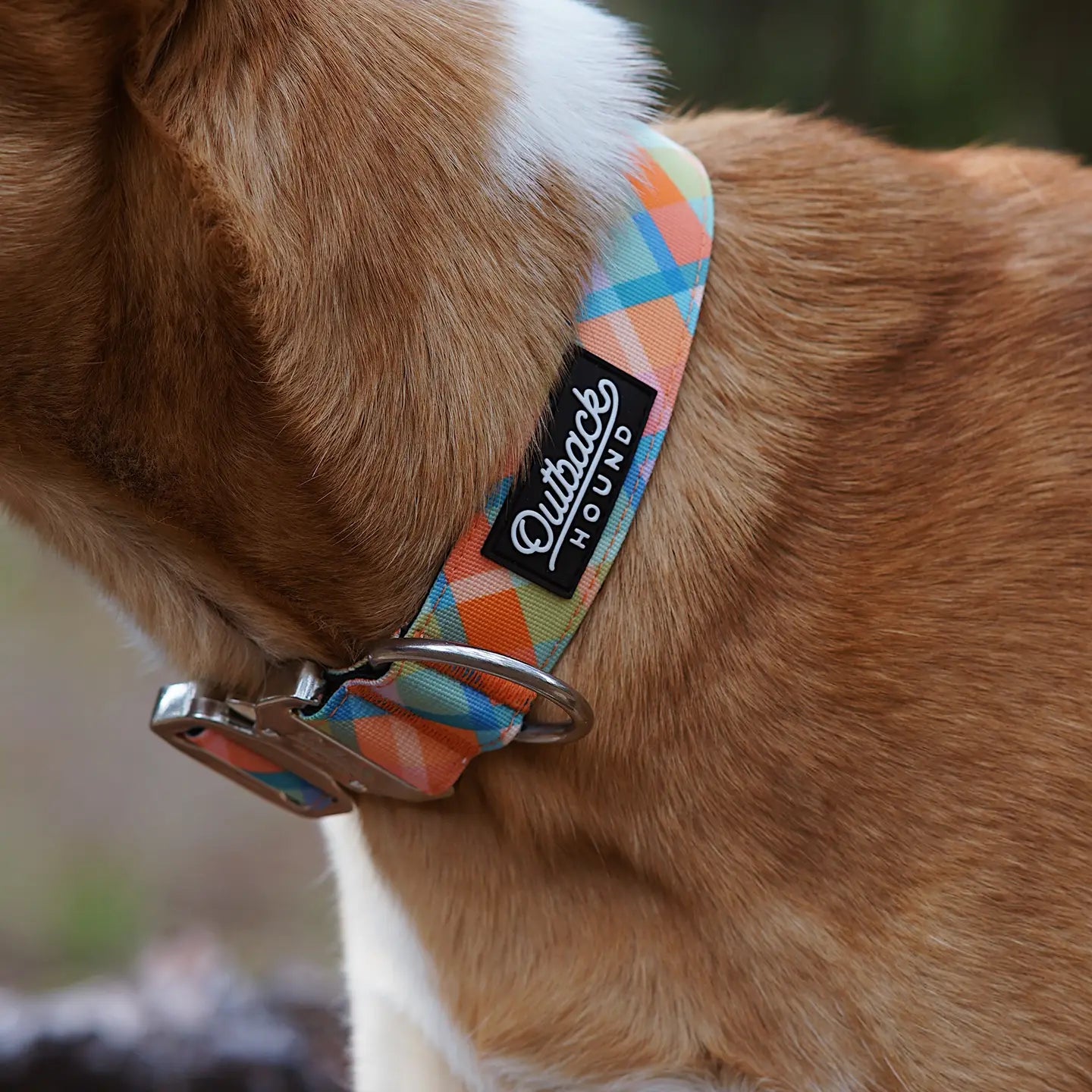 Outback Hound Summer Plaid Dog Collar