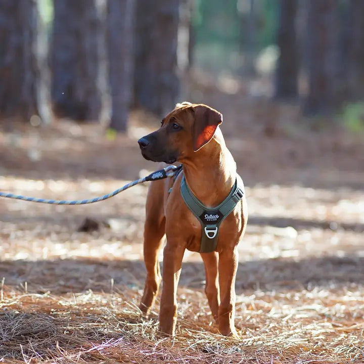 Outback Hound Ultra Lite Ranger Green Comfort Harness