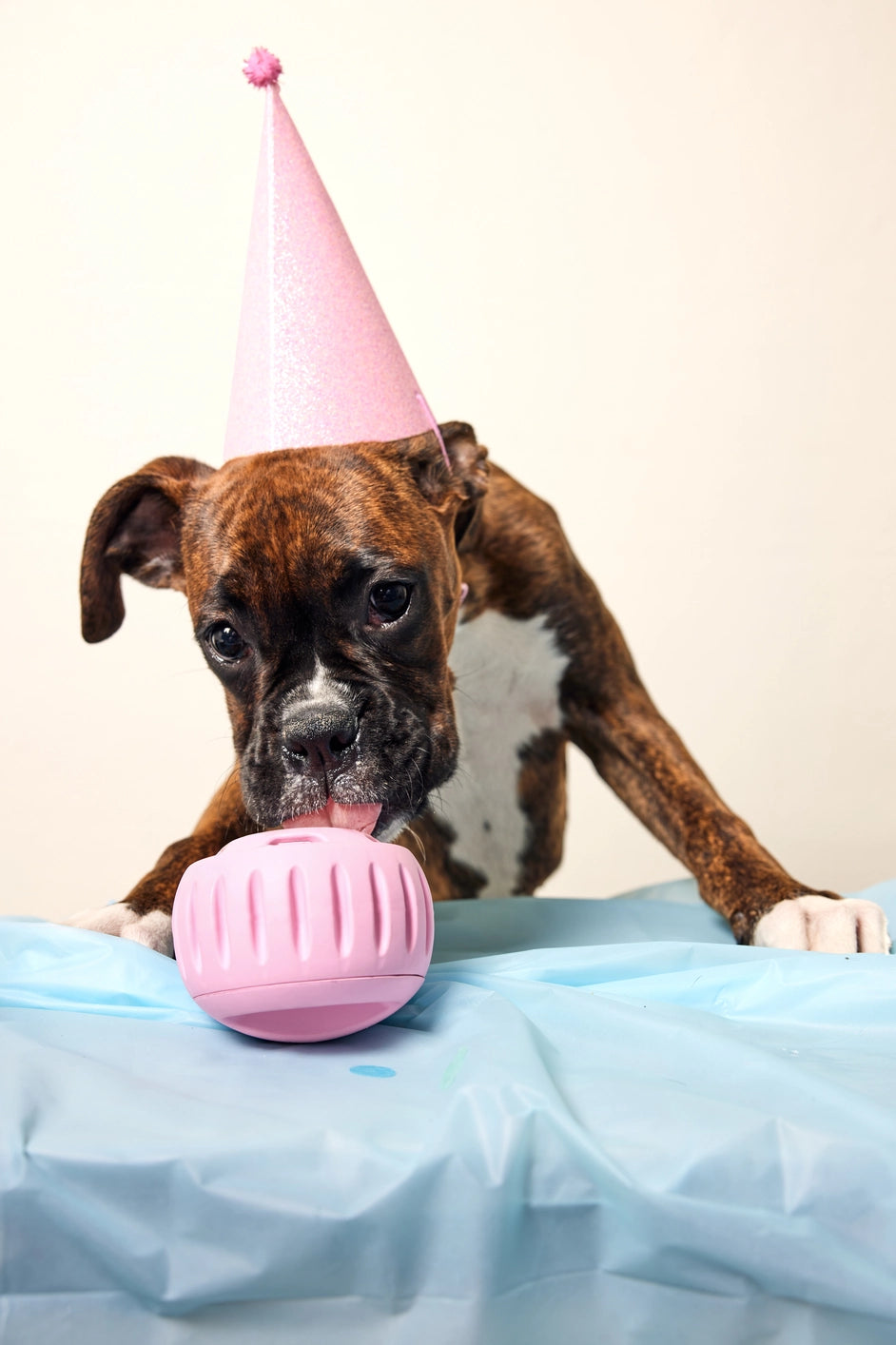 Woof Party Pupsicle