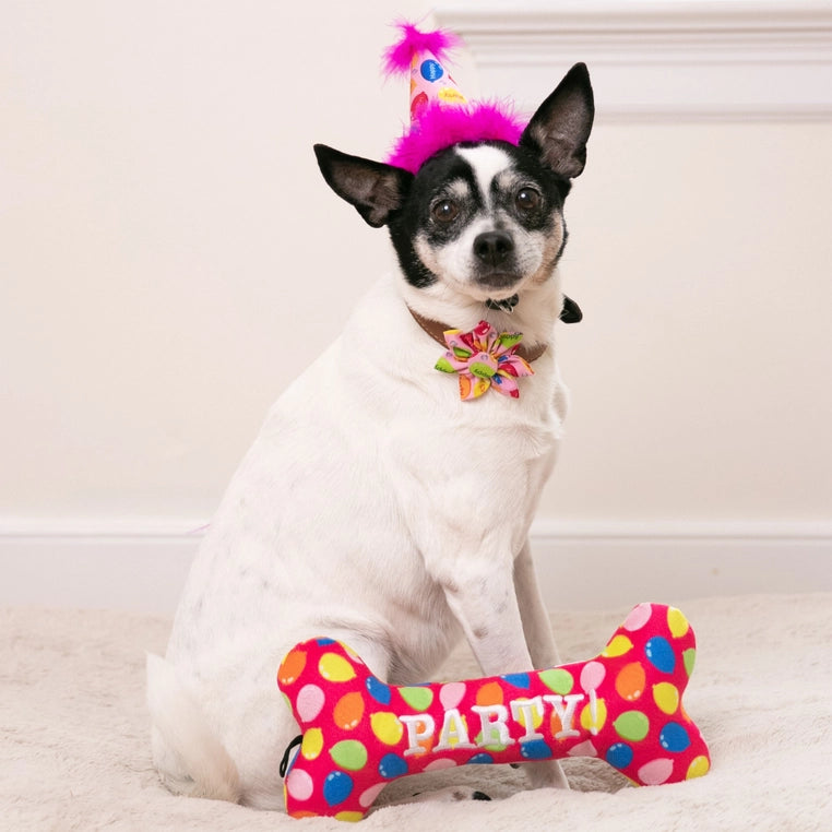 Pink Party Time Party Hat