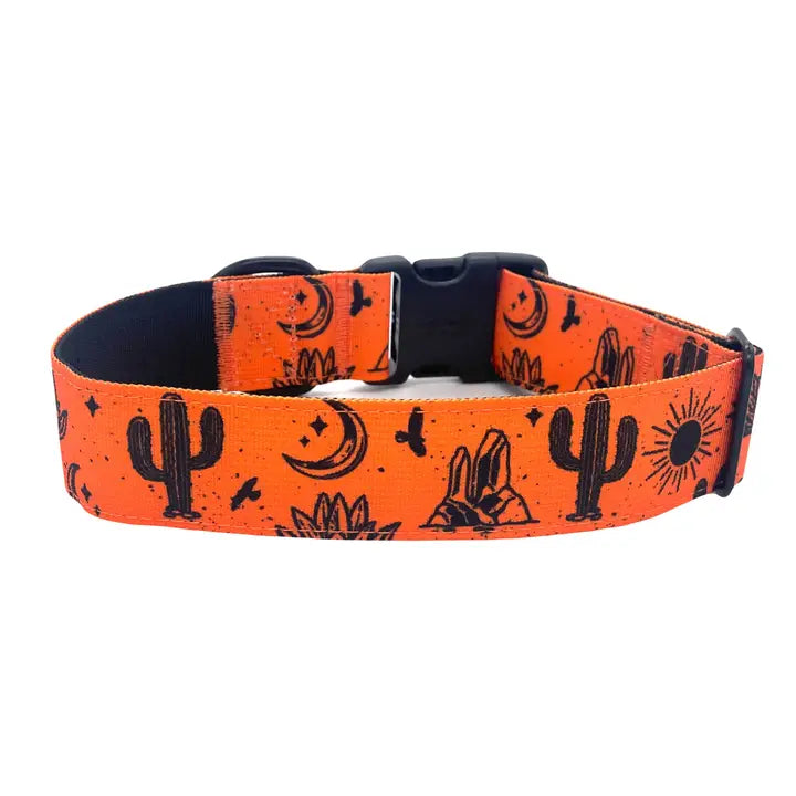 Outback Hound Orange Agave Trail Collar
