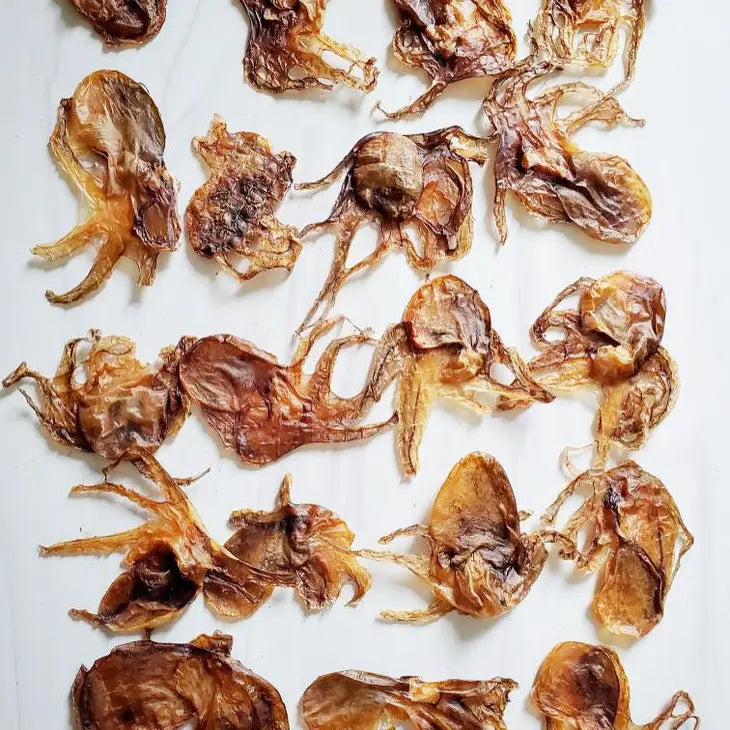 Wild Caught Baby Octopus | Naked Beasts