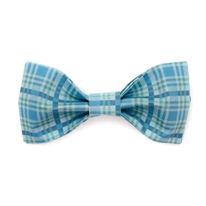 The Camden Bowtie