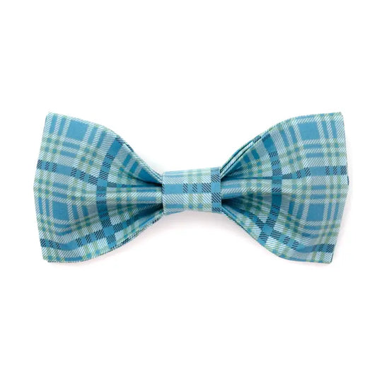 The Camden Bowtie