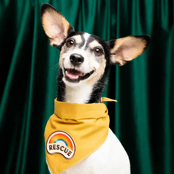 Rescue Bandana Patch | Scout's Honour
