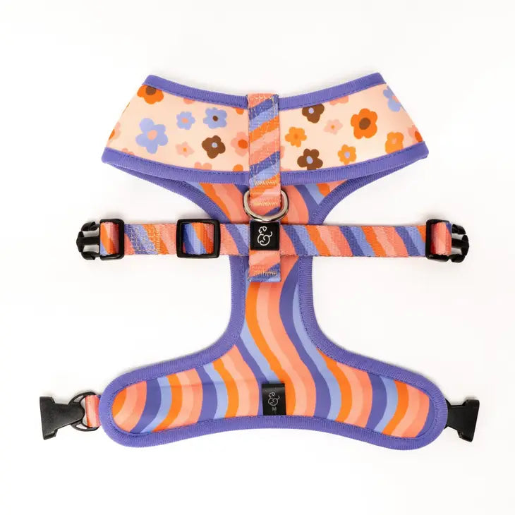 Let's Groove Reversible Harness | Lucy & Co