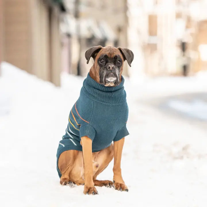 Blue Arctic Sweater | GF Pet