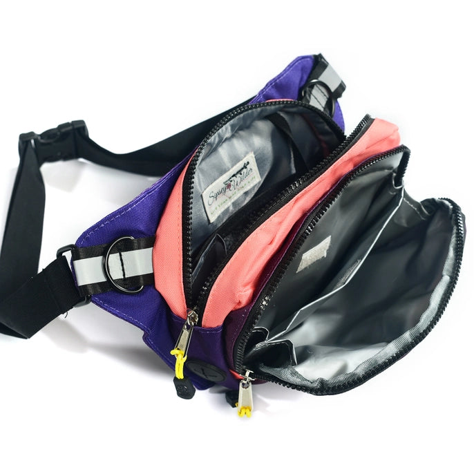 Sipsey Wilder Fruit Burst Rover Hip Pack