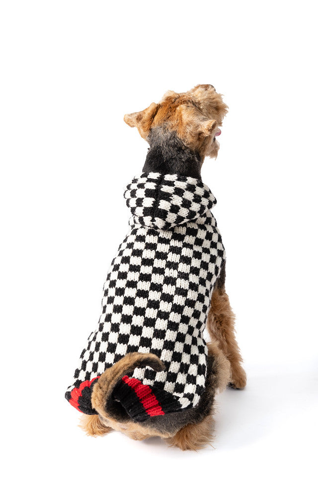 Checkerboard Hoodie Dog Sweater by Chilly Dog
