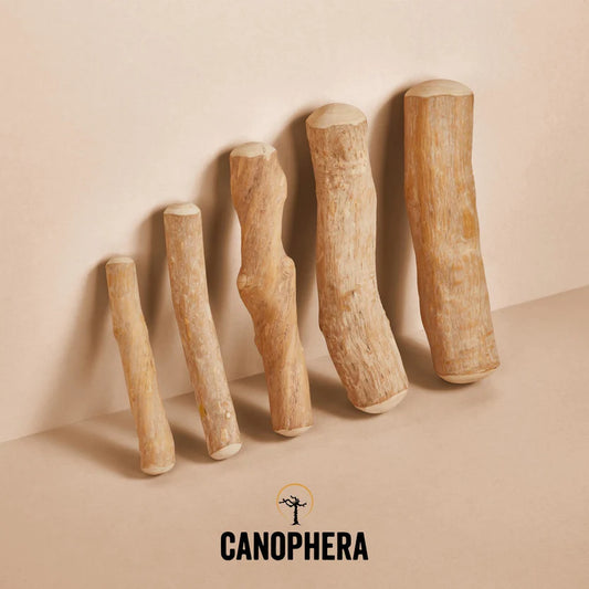 Coffee Wood Chew