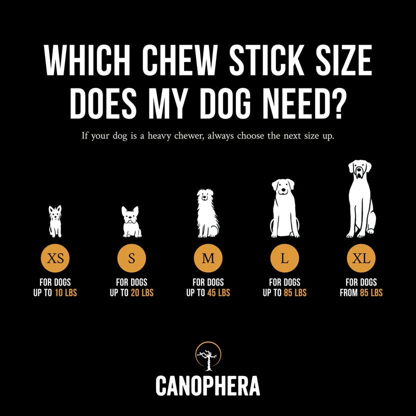 Coffee Wood Chew