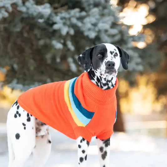 GF Pet Alpine Sweater